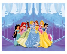 0264FTD NSTANDARD DISNEY AG 360254 NewPlan