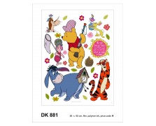 881DK   R DISNEY AG NewPlan