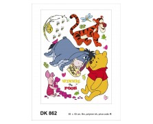 862DK   R DISNEY AG NewPlan