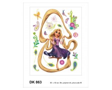 863DK   R DISNEY AG NewPlan