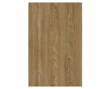 MASSIF 614D ARBO 4M NewPlan