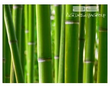 0170FT  D AG 360254 NewPlan