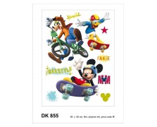 855DK   R DISNEY AG NewPlan