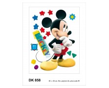 858DK   R DISNEY AG NewPlan