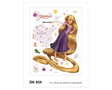 854DK   R DISNEY AG NewPlan
