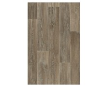 TRENTO 609M LIME OAK 4M NewPlan