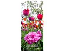 0219F  2012 CREATIVE AG 90202 NewPlan