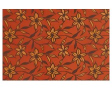 SAPHYR 280105 NewPlan