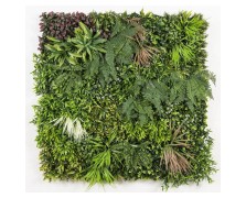 PREMIUM 100  100 MZ189023A NewPlan