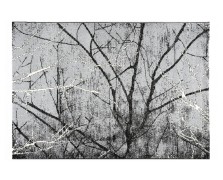 SKY 080Χ000 ΔΙΑΔΡ. Ρ.Ρ. ΤΟΥΡΚΙΑΣ