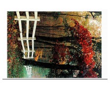 NATURA 160X230 ΤΑΠ. Ρ.Ρ. ΤΟΥΡΚΙΑΣ